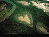 Foto Corazón de Voh, Nueva Caledonía, Francía. Yann Arthus-Bertrand 